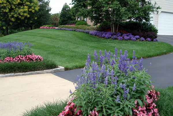 landscape-care-annuals