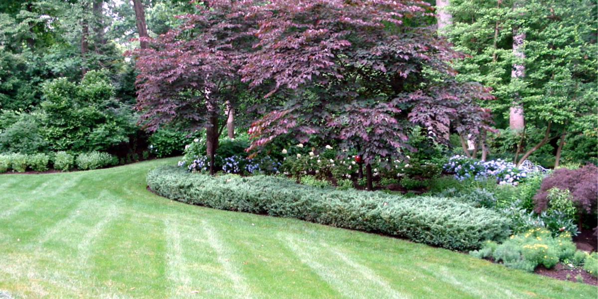 Landscape Design Services